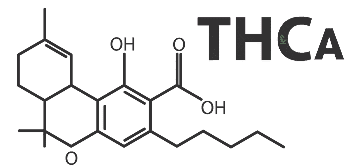 formula-THCa-Tetrahydrocannabinolic-acid-active-cbd