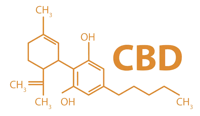 formula-cbd-cannabidiol-active-cbd-700x409-1