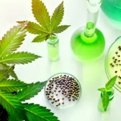 CBD: The Instructions for Use Cannabis-Hemp-CBD-instructions-for-use-detail-use