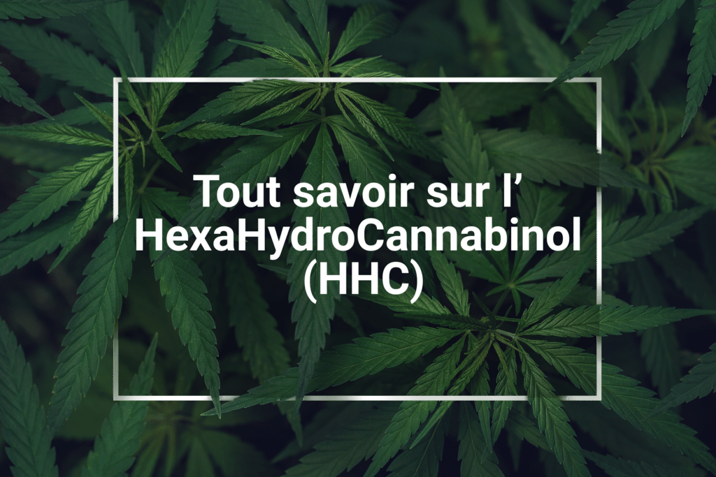All about the HexaHydroCannabinol-HHC