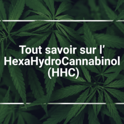 All about the HexaHydroCannabinol-HHC